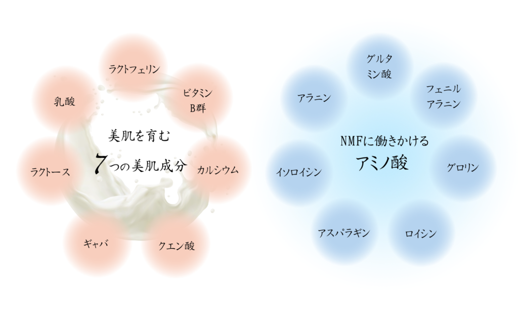 プレミアムホエイにはNMFに含まれるアミノ酸7種と生乳由来成分7種を配合。（アラニン、グルタミン酸、イソロイシン、アスパラギン、フェニルアラニン、グロリン、ロイシン、ラクトフェリン、乳酸、カルシウム、ビタミンB群、ラクトース、クエン酸、ギャバ）